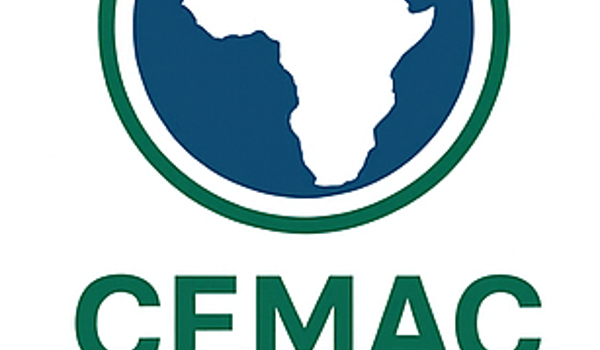 Step-by-step CEMAC Buyers Permit application process for legal gold and diamond purchases in Central Africa.