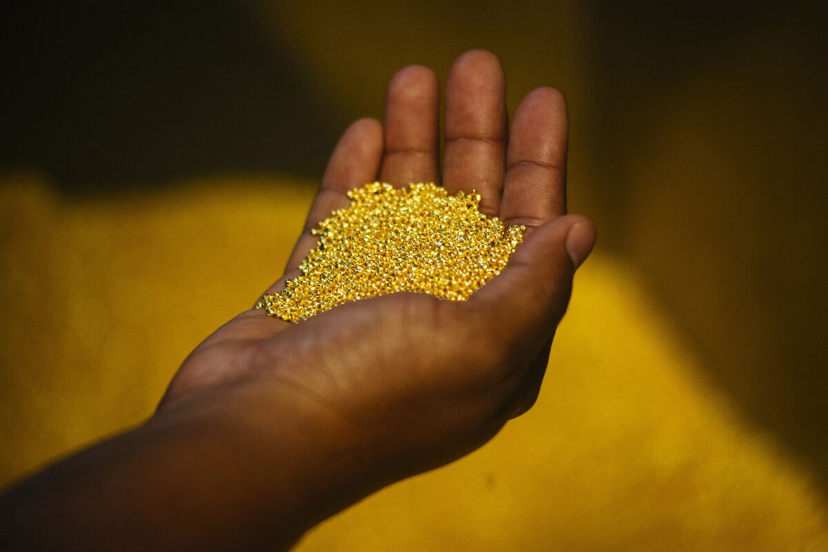 Buy Gold Nuggets from Cameroon – Premium Natural Gold for Investors, Refineries & Collectors